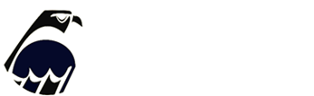 Falcon Energy Logo